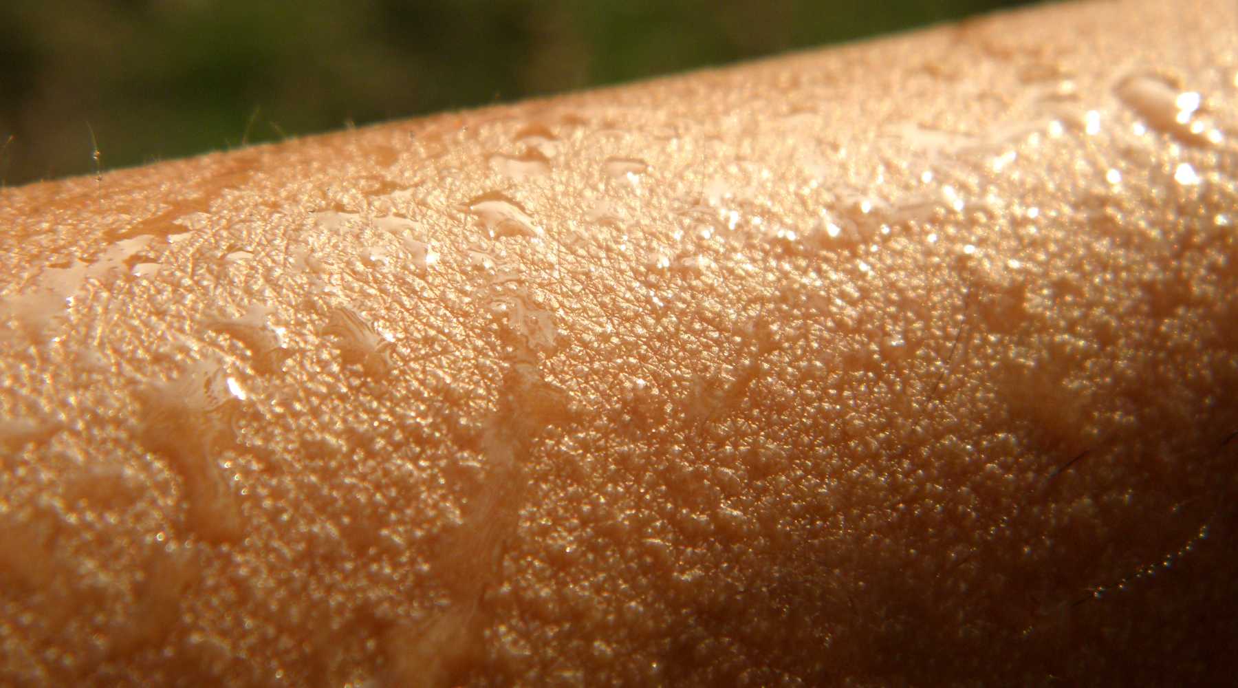 Niacin Detox Protocol Sauna Detox Clearlight® Saunas